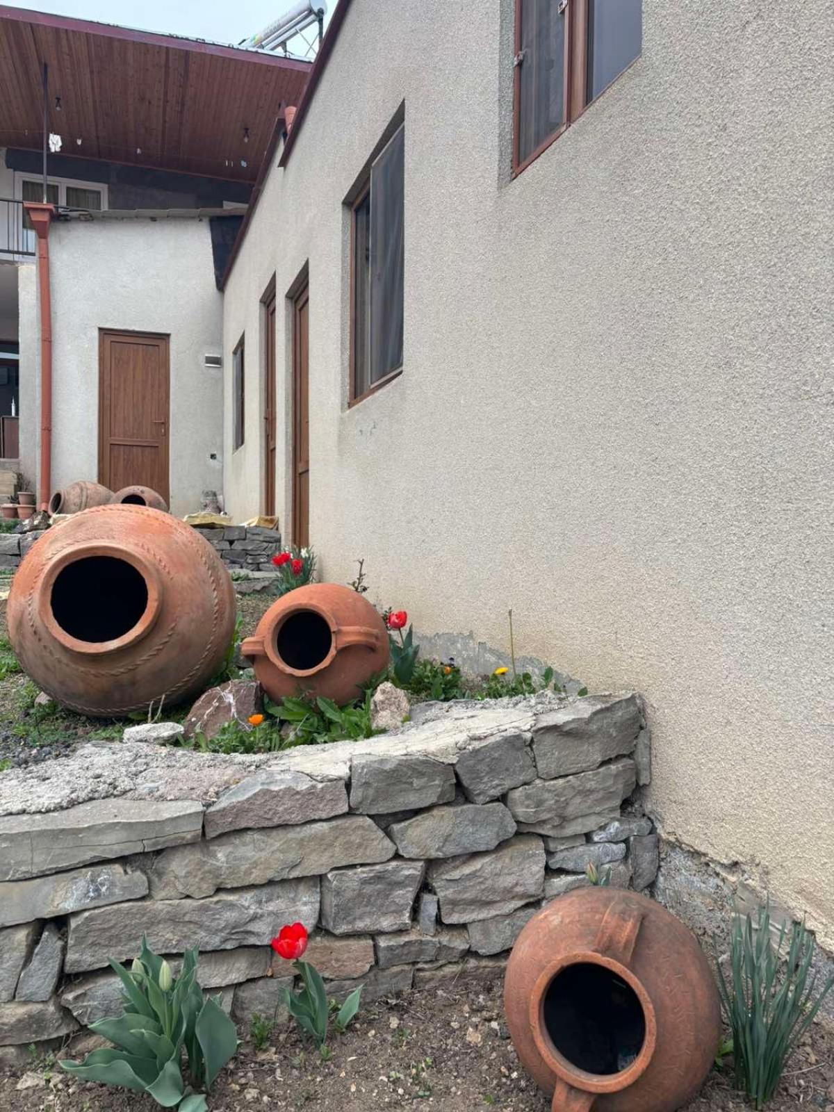 Saro B&B And Safari Tours Tat'ev Eksteriør bilde